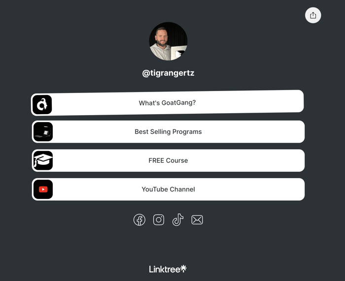 Ejemplo de Linktree de Tigran Gertz